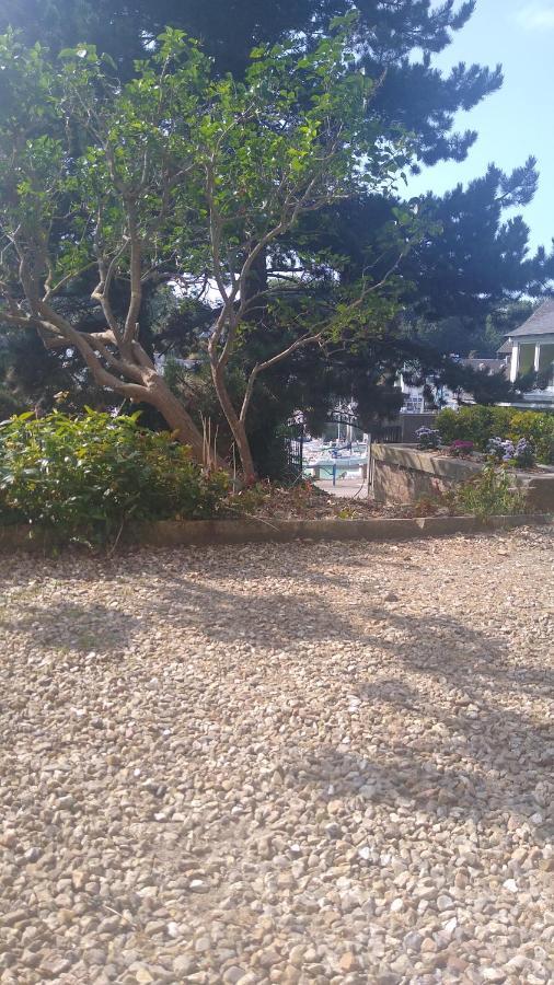 Appartement Sur Le Port, 105M Rez De Jardin Avec Parc Privatif Saint-Valery-en-Caux Luaran gambar